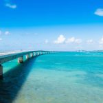 春の訪れを感じる梅の名所ツーリング【関西】