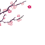 冬のツーリングで気をつけるべき道路状況とは？